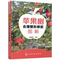 果树合理整形修剪图解系列 苹果树合理整形修剪图解 本书以图文并茂的方式介绍果树整形修剪的基础 注重实用性文字言简意赅