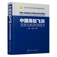 正版 中国高铝飞灰:资源与清洁利用技术 高铝粉煤灰高铝煤矸石等二次资源提取氧化铝关键技术系统研究 粉煤灰综合利用技术