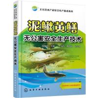 无公害水产品安全生产技术丛书 泥鳅黄鳝无公害安全生产技术 高效养泥鳅黄鳝养殖书籍 黄鳝泥鳅养殖技术大全鳝鱼繁殖防治病