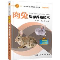 畜禽科学养殖致富丛书 肉兔科学养殖技术 肉兔饲料与饲料加工技术 肉兔饲养管理 肉兔常见病防控技术 科学健康养兔新技术