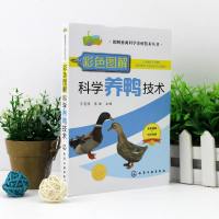 彩色图解科学养鸭技术 实用性和可操作性等是广大养鸭场 鸭病防治人员基层兽医相关专业院校师生重要的学习用书 如何养鸭自
