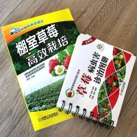 [草莓种植栽培技术大全书籍]棚室高效栽培病虫害诊治图册防治教程种育苗栽培和精细化管理的资料教程病农业图书温室书怎么架