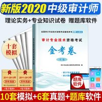 新版2020年审计师考试教材中级配套全真模拟试卷习题集 审计理论与实务+审计专业相关知识审计师中级考试 中级审计师金