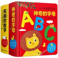 幼儿有趣的创意学习书 神奇字母书ABC+有趣的数字全2册 0-3-6岁儿童书籍宝宝英文绘本启蒙婴儿故事书洞洞卡片认知