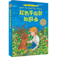 红色羊齿草的故乡 爱心树世界经典童书精选 6-9-12岁少儿童成长励志课外故事书 世界经典外国儿童文学短篇小说青少