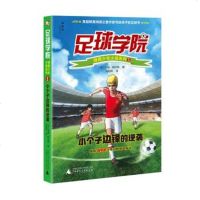 小个子边锋的逆袭-足球学院.绿茵少年小说系列(1)