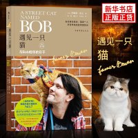遇见一只猫-与Bob相伴的日子(增补修订版)走红大银幕的明星流浪猫Bob为你讲述有关生存责任尊重与爱的故事流浪猫鲍勃