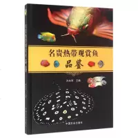 名贵热带观赏鱼品鉴 孙向军[新华书店正版书籍]