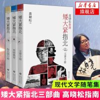 [矮大紧指北三部曲全3册套装]文青手册+闲情偶寄+指北排行榜 高晓松著 高晓松指南 现当代文学散文随笔 书籍排行榜