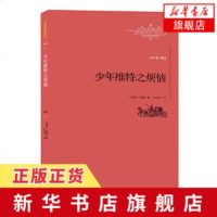 少年维特之烦恼 全译本 世界名著名译文库 柳鸣九 歌德著 书信体小说开山之作 课外阅读世界经典名著外国文学小