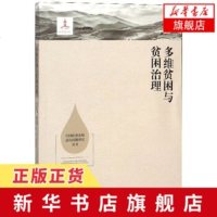 多维贫困与贫困治理 中国扶贫攻坚前沿问题研究丛书 庄天慧等编著湖南人民出版社中国社会发展研究参考书[新华书店旗舰店