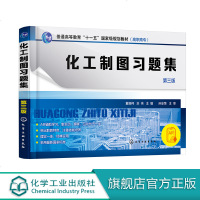 化工制图习题集 第三版 董振柯 刘伟 高职高专化工类 制药类专业的制图教学书籍 化工制图 机械制图 计算机绘图 化工