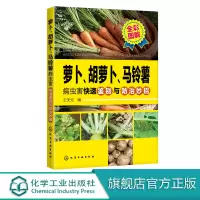 萝卜 胡萝卜 马铃薯病虫害快速鉴别与防治妙招 胡萝卜 马铃薯 病虫害 病害 虫害 防治 图鉴 农林院校蔬菜及相关专业