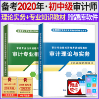 备考2020年审计师考试教材初级中级全2本审计理论与实务+审计专业相关知识审计初级考试2020审计师中级考试2019