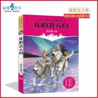 我的北方狗   国际动物小说品藏书系 沈石溪主编 中小学生课外书读物系列 三四五六年级 8-10-12-15周岁儿童