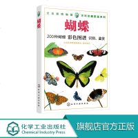 大自然博物馆 百科珍藏图鉴系列 蝴蝶 青少年中小学生动植物科普百科全书 生活环境习性繁殖特点知识大全 凤蝶袖蝶粉蝶 
