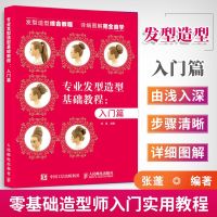 专业发型造型教程(入篇) 以马尾展开造型 婚纱摄影新娘跟妆发型师编发进阶实用教程 零基础造型师入 美发化妆造型设