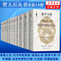 哲人石丛书全套14册 素数之恋/天才的拓荒者/美丽心灵/数学大师/千年难题/改变世界的方程大流感双螺旋探秘[新华书店