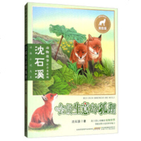 沈石溪动物故事注音本系列 会做生意的狐狸 彩图注音美绘版 6-8-9-12周岁小学生一二三年级课外阅读书籍 正版 学