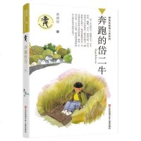 黄蓓佳倾情小说新作奔跑的岱二牛全新原创的儿童长篇小说6-14儿童课外阅读书籍关注当下乡村孩子的生活话题新颖角度别致