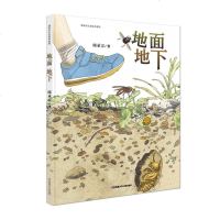 精装 地面地下绘本书 展现出一个值得细细观察体味的生命空间 以微观视角展现昆虫在四季轮回中的生命百态地上地下绘本 新