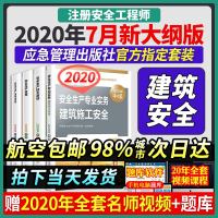 官方2020年版应急管理部注册安全师工程师教材考试用书习题集建筑施工化工其他安全生产专业实务法律法规全国中级注安师全