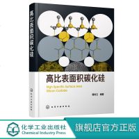 高比表面积碳化硅 郭向云 高比表面积碳化硅制备方法书籍 高比表面积碳化硅在催化领域应用技术 催化剂载体研究 高温吸波