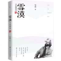 雪漠-小说精选 我们谈及西部 西部文化到底是什么 有怎样的生存样态 作家雪漠用他类似于特写镜头的精彩小说为读者呈现真