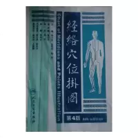 经络穴位挂图(第4版) 靳士英//金完成//靳朴|译者:靳朴|绘画:张彤云[新华书店正版书籍]