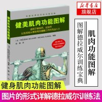 健美肌肉功能图解 针对人体不同部位的训练方法教程 肌肉健美训练图解 私人教练徒手健身教程 健身肌肉图解肌肉健美训练书