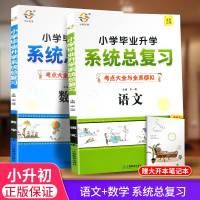 新版 宇轩图书 小学毕业升学系统总复习 考点大全与全真模拟 语文数学 小升初练习册六年级下册小升初暑假衔接教材