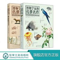 博物学家的珍宝图鉴伦敦自然博物馆藏品精选2册 自然标本收藏鉴赏指南书植物古生物昆虫动物矿物宝石 博物学家的传世珍宝+