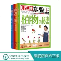 小牛顿实验王 6册 6-10-14 植物 光与镜子 火山与岩石 声音 天气 力 实验启蒙 小升初 STEM教育 趣味
