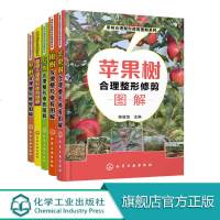 果树合理整形修剪图解系列梨+苹果+葡萄+桃+枣(5册套装)