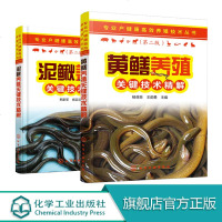 专业户健康高效养殖技术丛书黄鳝养殖关键技术精解+泥鳅养殖关键技术精解 2册  水产养殖高效水产高效养殖书 鱼虾螃蟹