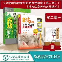 如何养好鸡 简明鸡病诊断与防治原色图谱 第二版+林地生态养鸡实用技术 赠土法良方治鸡病 3册 养鸡技术养殖饲料配方鸡