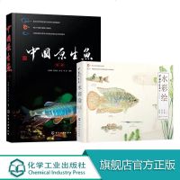正版 2册 中国原生鱼水彩+中国原生鱼 中国小型淡水鱼饲养殖常识书精美原创水彩画常见原生鱼类中国原生鱼美艳鉴别鱼种