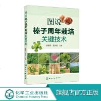 图说榛子周年栽培关键技术 本书图文并茂 内容新颖 具有较强的科普性专业性和实用性 适合从事榛子栽培的果农 企业人员参