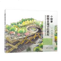 正版 小蚁君植物景观手绘教程 绘画技法 绘画类图书 王洋,李明洁 著 清华大学出版社