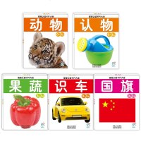 5盒海润阳光果蔬(0-3岁)/宝宝认读卡片大全 幼儿童学认国旗/识车/动物/认物早教卡片 宝宝启蒙认知卡撕不烂大图卡