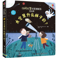 [正版授权]儿童书籍0-2-3-4-5-6岁 你问我答科普翻翻书怎么样-太空是什么样子的?幼儿科普百科全书 宝宝启蒙