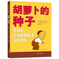 胡萝卜的种子