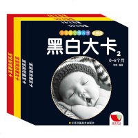 4盒婴儿识图卡片 0-3岁 早教黑白卡彩色卡闪卡0-6个月新生儿视觉激发大卡 启蒙书识图卡片颜色识别 儿童图片书初生