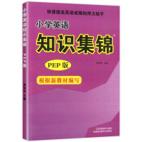 新小学英语知识集锦PEP人教版 快速提高英语成绩的得力助手 根据新教材编写 小学英语资料包 小升初英语总复习辅导工具