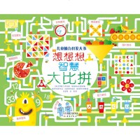 正版全新 儿童脑力开发大书 想想想智慧大比拼 童书 益智游戏书 左右脑开发 趣味游戏训练观察力 幼儿一岁两岁启蒙