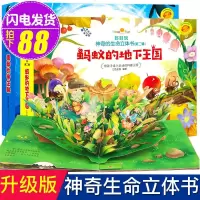 全2册 好好玩神奇生命立体书 蚂蚁的地下王国 勇敢企鹅儿童3d立体书翻翻书洞洞书籍0-3-6周岁幼儿绘本读物启蒙认知