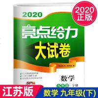 2020春亮点给力大试卷九年级数学下册江苏版初三数学9年级册课本同步跟踪检测卷分类专项复习各地期末试卷精选