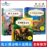 [全套3册]动物小说大王沈石溪自选精品集升级版 牧羊犬阿甲+非洲雌象麦菲+大羊驼和美洲豹 小学课外读物童书阅读故事书