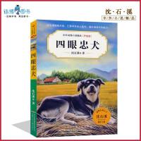 四眼忠犬 沈石溪中外动物小说精品升级版 中小学生课外书读物系列 三四五六年级 8-10-12-15周岁儿童文学 正
