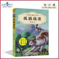 正版 孤猫战歌 沈石溪中外动物小说精品升级版 中小学生课外书读物系列 三四五六年级 8-10-12-15周岁儿童文学